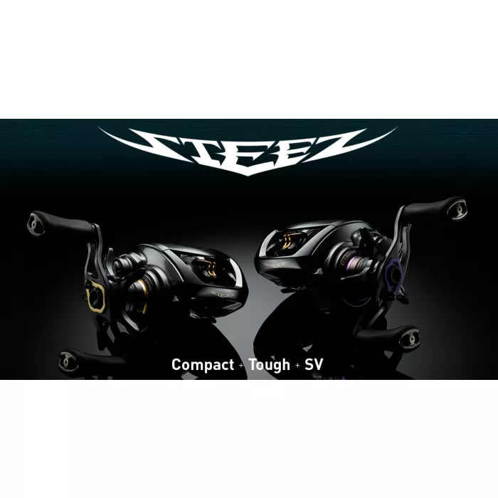 DAIWA 19 STEEZ CT SV TW